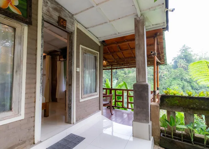 Doni House &