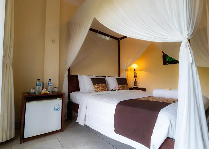 Doni House & 3*